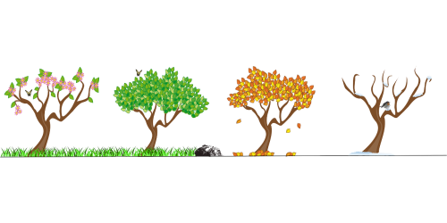 עונות השנה by edem montal - Illustrated by עדן מונטל - Ourboox.com