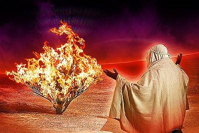 הסנה הבוער by or - Ourboox.com