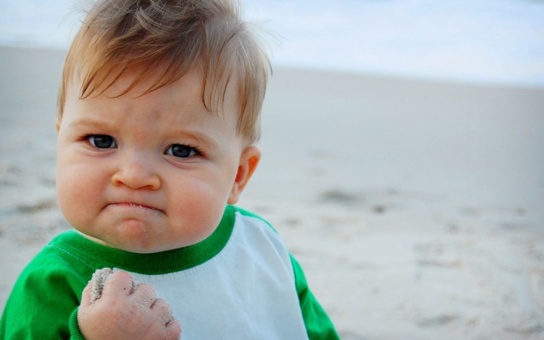 הכבשים הלוחמים by Ilan Enteen - Ourboox.com