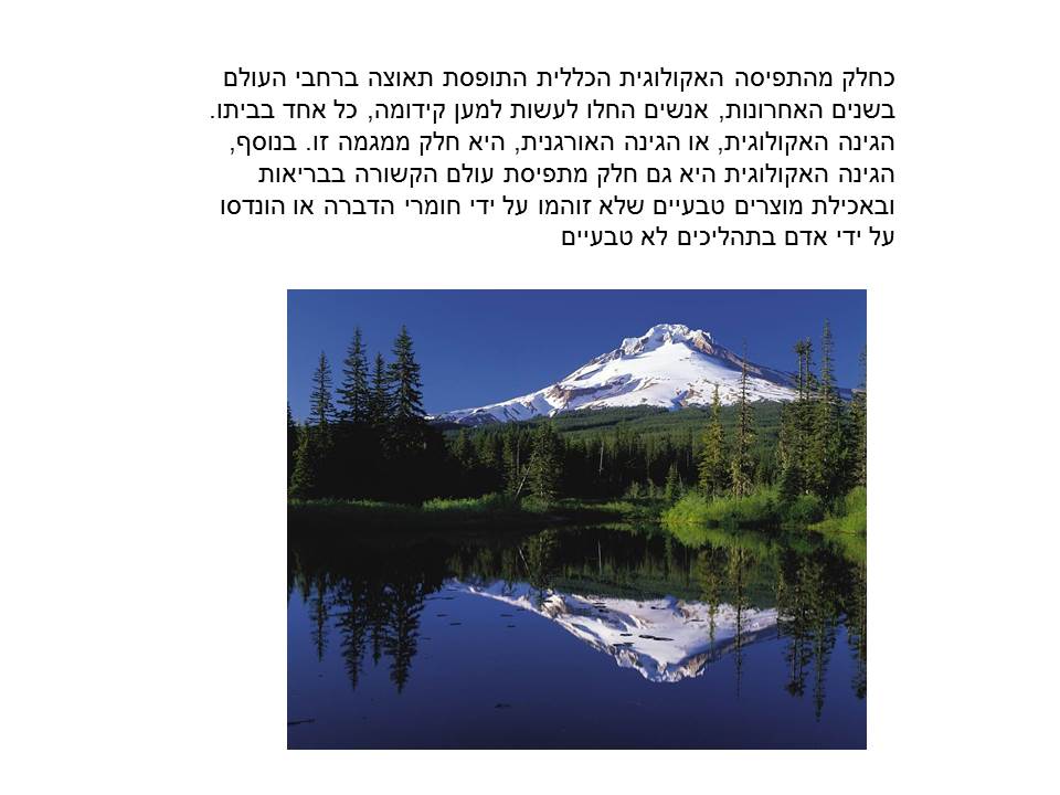 amit by merav tsadok shidlo - Illustrated by גלי - Ourboox.com