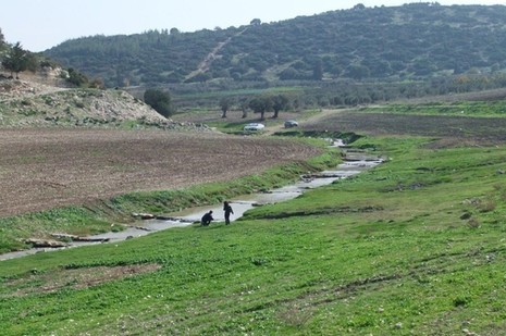 גם בליצה זאתי. פלי! by Shlomo - Ourboox.com