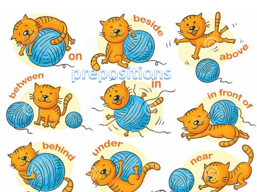 Where Things Are by Liat Bar Nathan - Ourboox.com