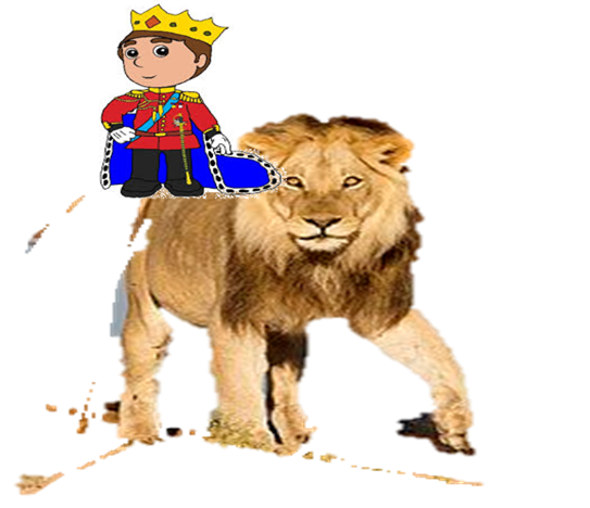 חומת המשאלות by neveoz - Ourboox.com