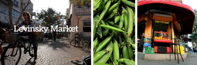 N&S -מגזין טיולים מס’ 1 by נעמי רומי וסיגל ברג N&S - Ourboox.com