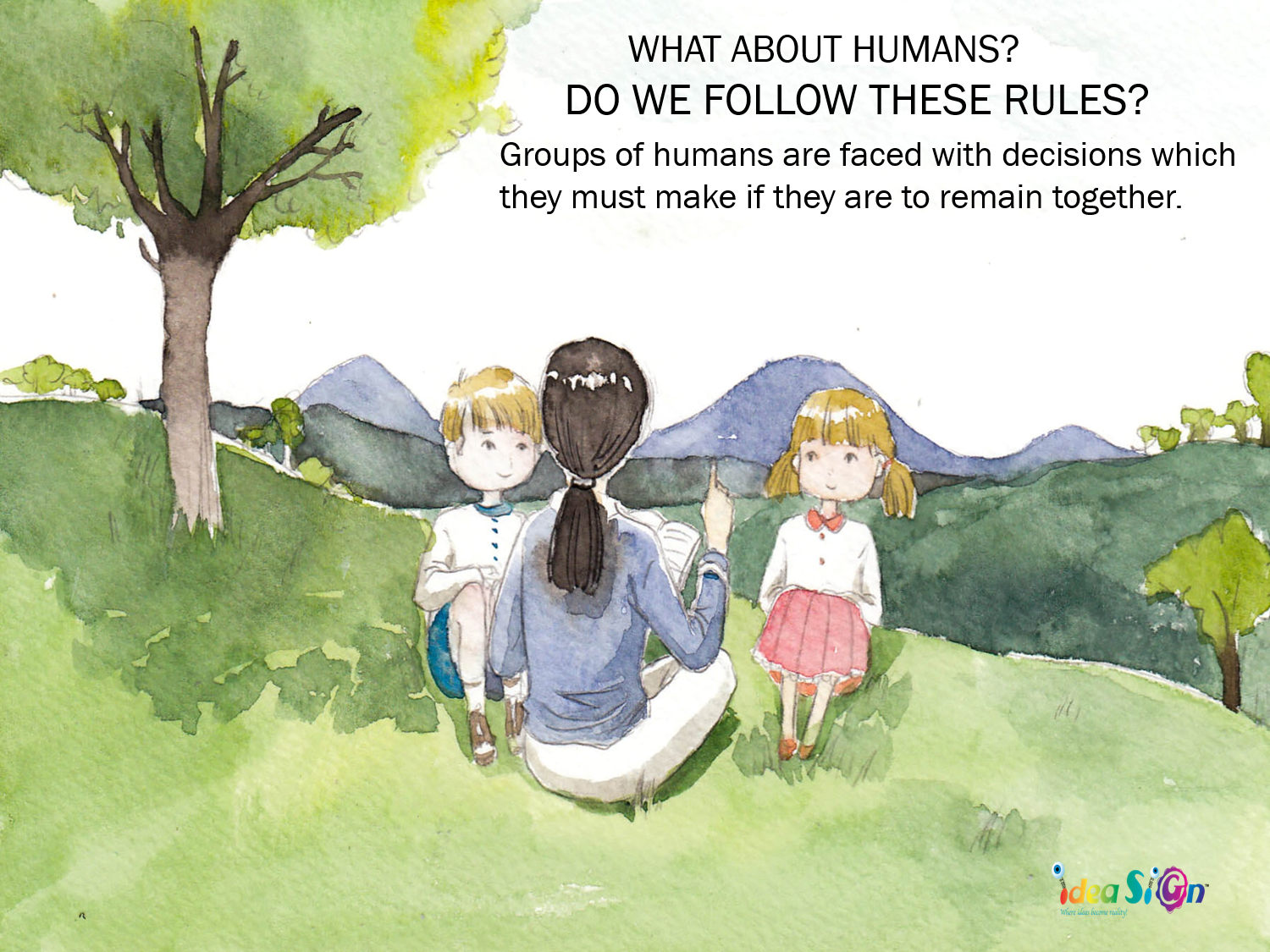 A flight guide-for little yellow ducks by Galorian  - Illustrated by Zhang Tinghui - Ourboox.com