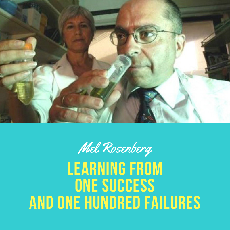 Learning from One Success and One Hundred Failures by Mel Rosenberg - מל רוזנברג - Ourboox.com