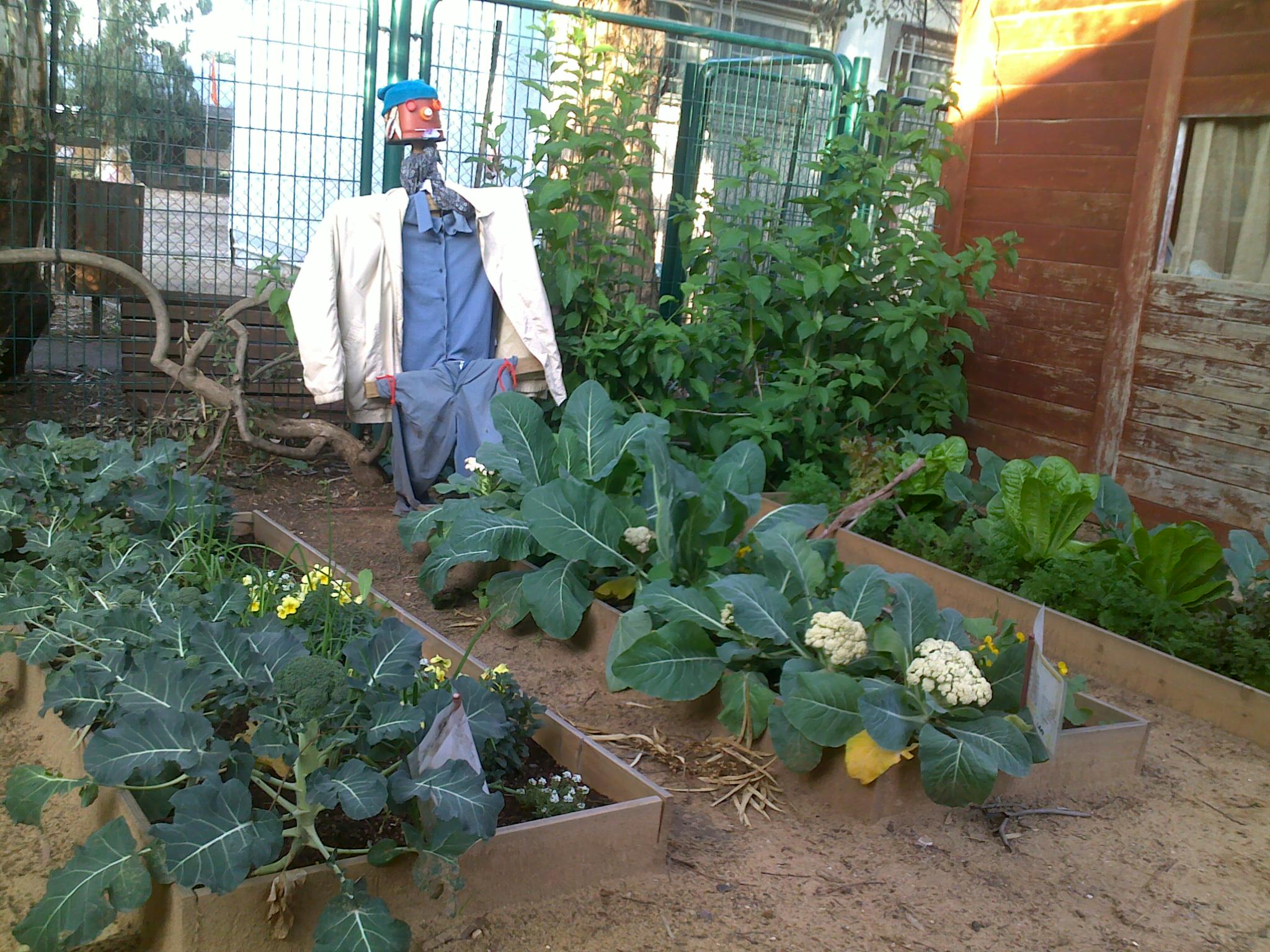 amit by merav tsadok shidlo - Illustrated by גלי - Ourboox.com