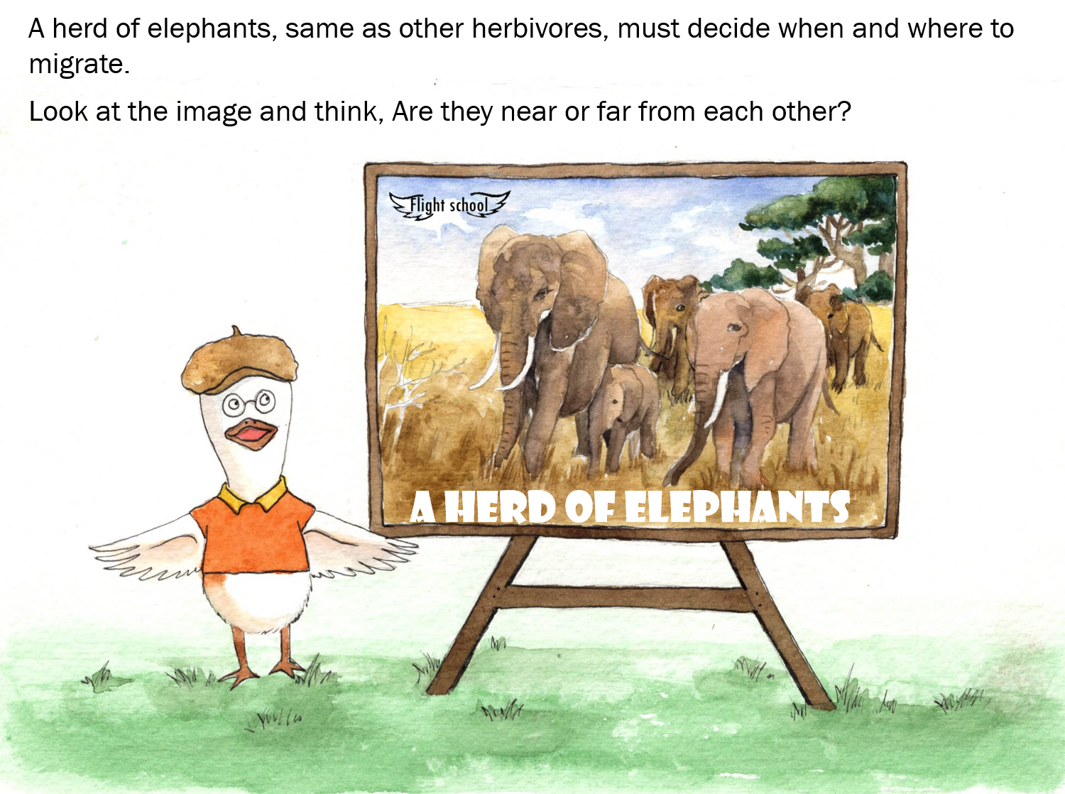 A flight guide-for little yellow ducks by Galorian  - Illustrated by Zhang Tinghui - Ourboox.com