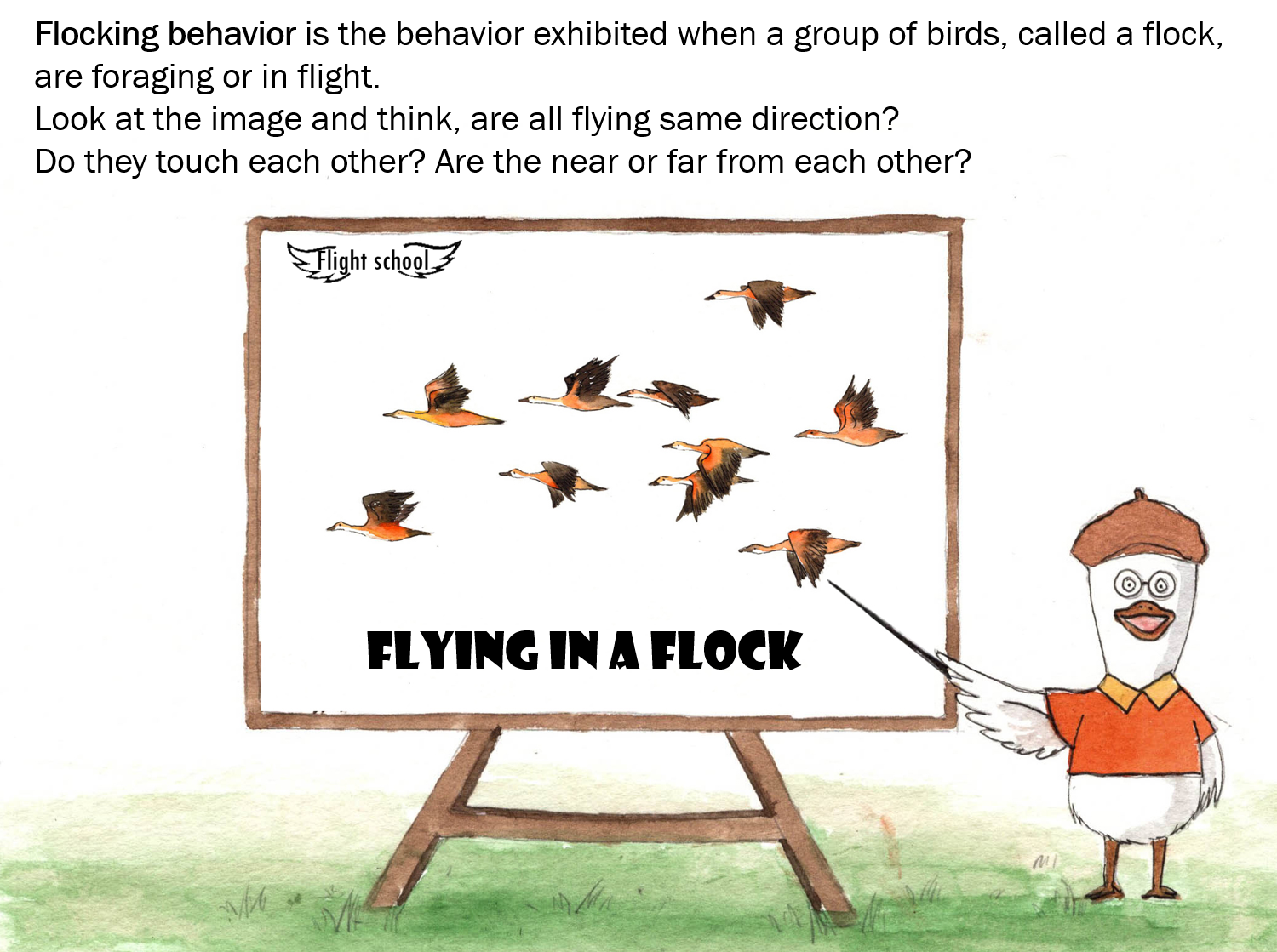 A flight guide-for little yellow ducks by Galorian  - Illustrated by Zhang Tinghui - Ourboox.com