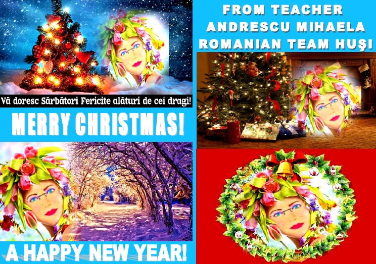 7 WONDERS OF YOUR COUNTRY The Agricultural College ”Dimitrie Cantemir” HUSI – ROMANIA Teachers coordinators Andrescu Mihaela and Garbatiuc Laura by Andrescu Mihaela - Ourboox.com