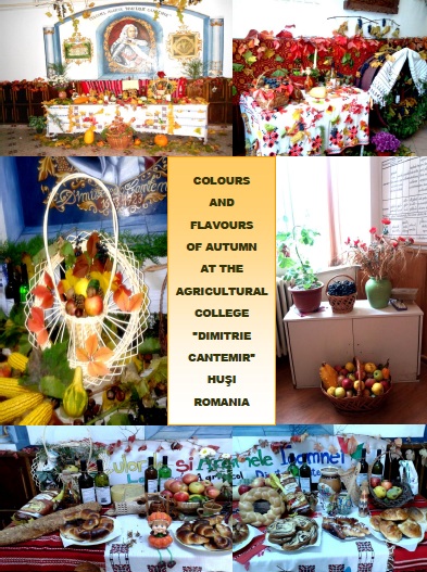 7 WONDERS OF YOUR COUNTRY The Agricultural College ”Dimitrie Cantemir” HUSI – ROMANIA Teachers coordinators Andrescu Mihaela and Garbatiuc Laura by Andrescu Mihaela - Ourboox.com