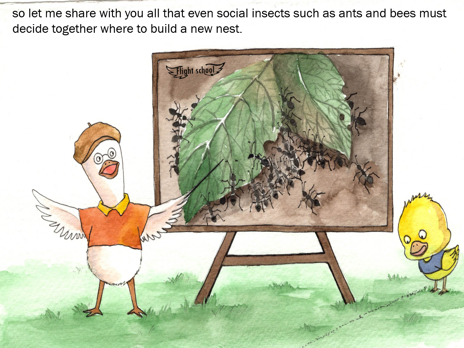 A flight guide-for little yellow ducks by Galorian  - Illustrated by Zhang Tinghui - Ourboox.com