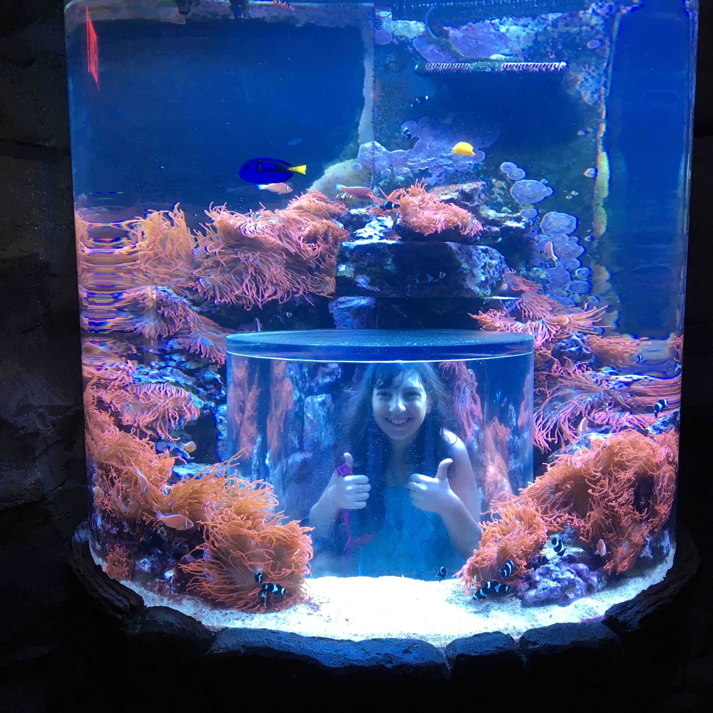 משפחת ליבוביץ by adi Leibowitz - Ourboox.com