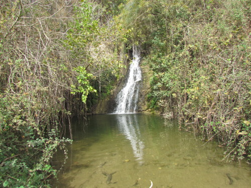 בתי הצ’רקסים by mohamd brazi - Ourboox.com