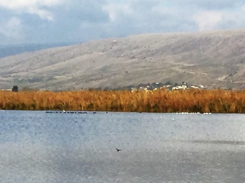 A Family of Peddlers by Mel Rosenberg - מל רוזנברג - Ourboox.com