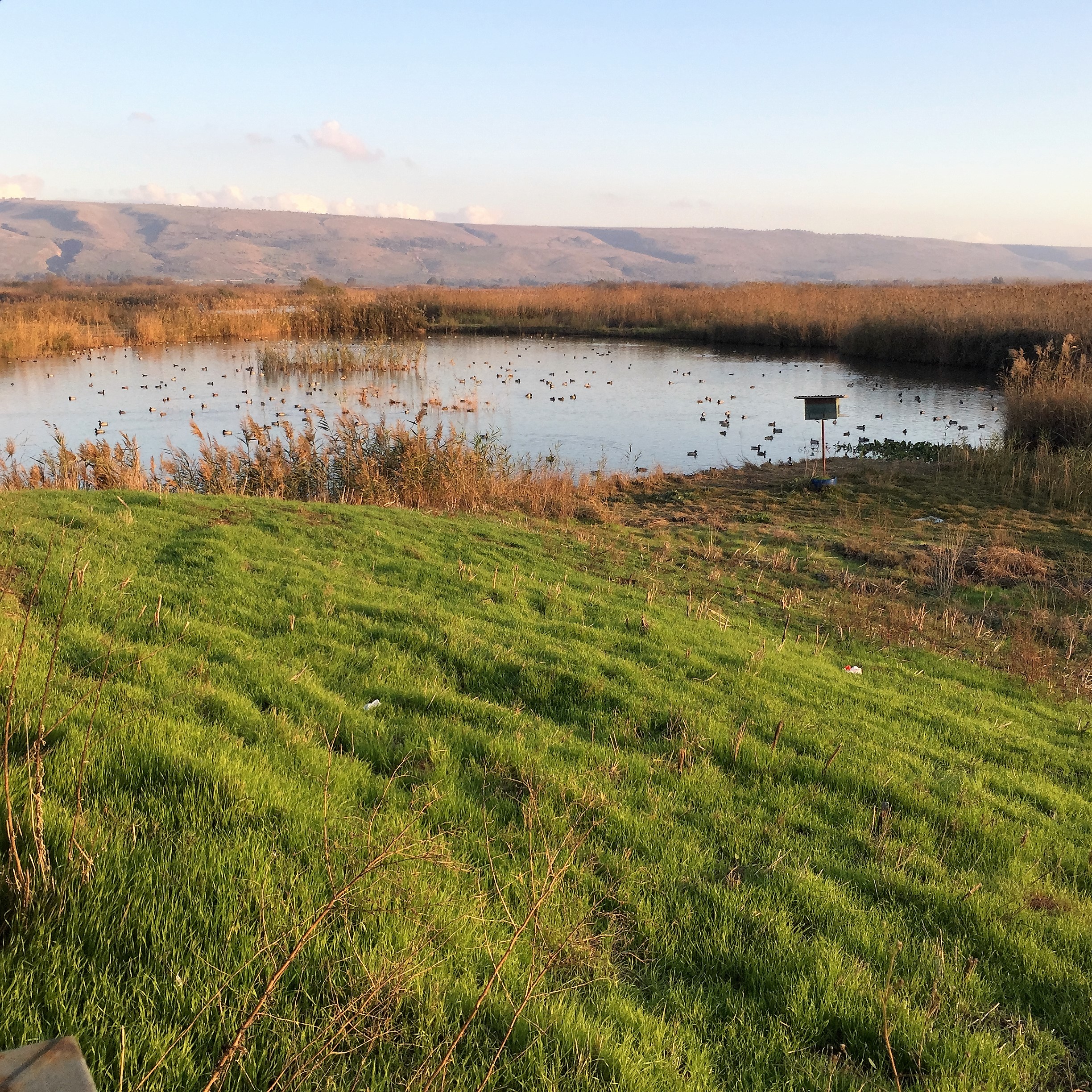 A Family of Peddlers by Mel Rosenberg - מל רוזנברג - Ourboox.com