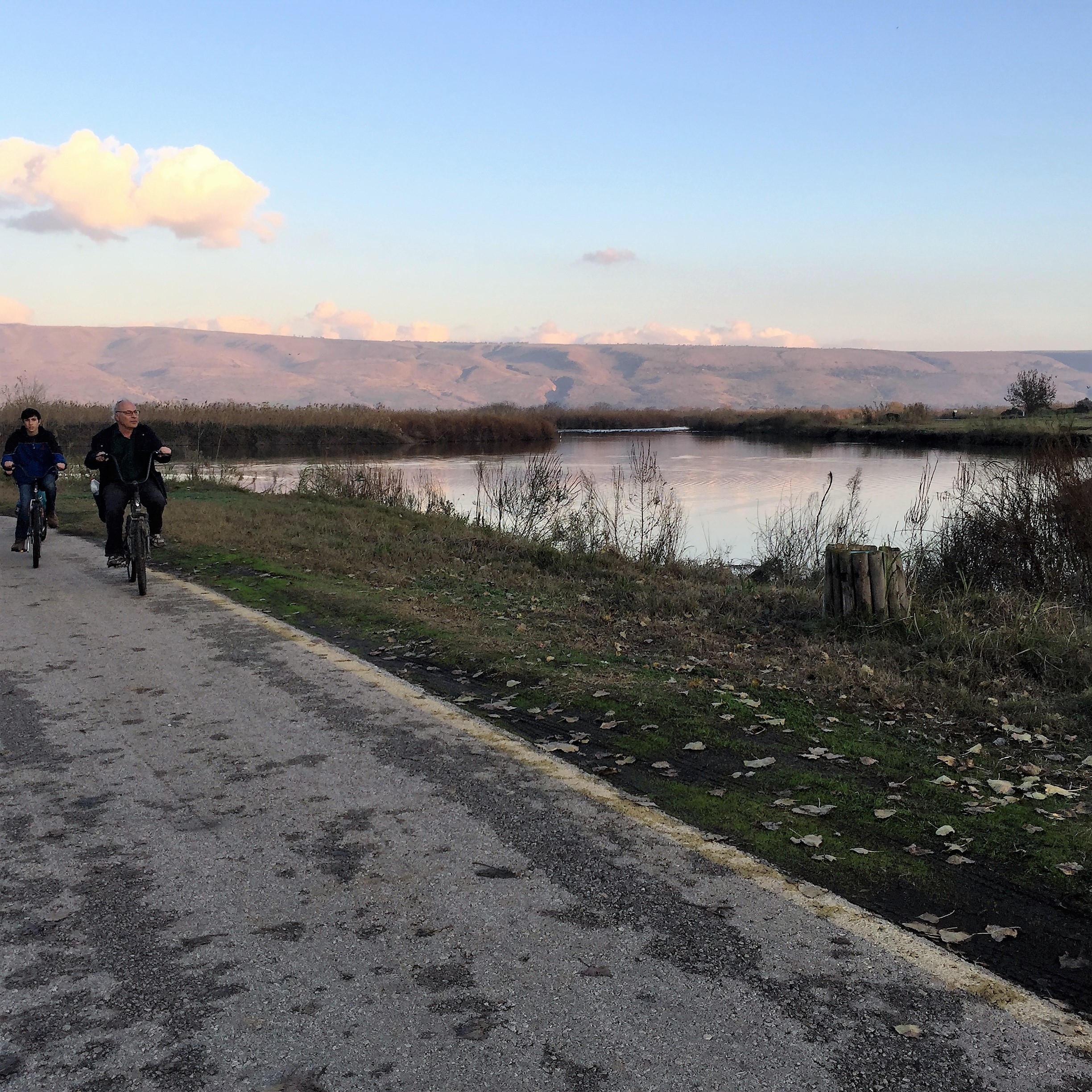 A Family of Peddlers by Mel Rosenberg - מל רוזנברג - Ourboox.com