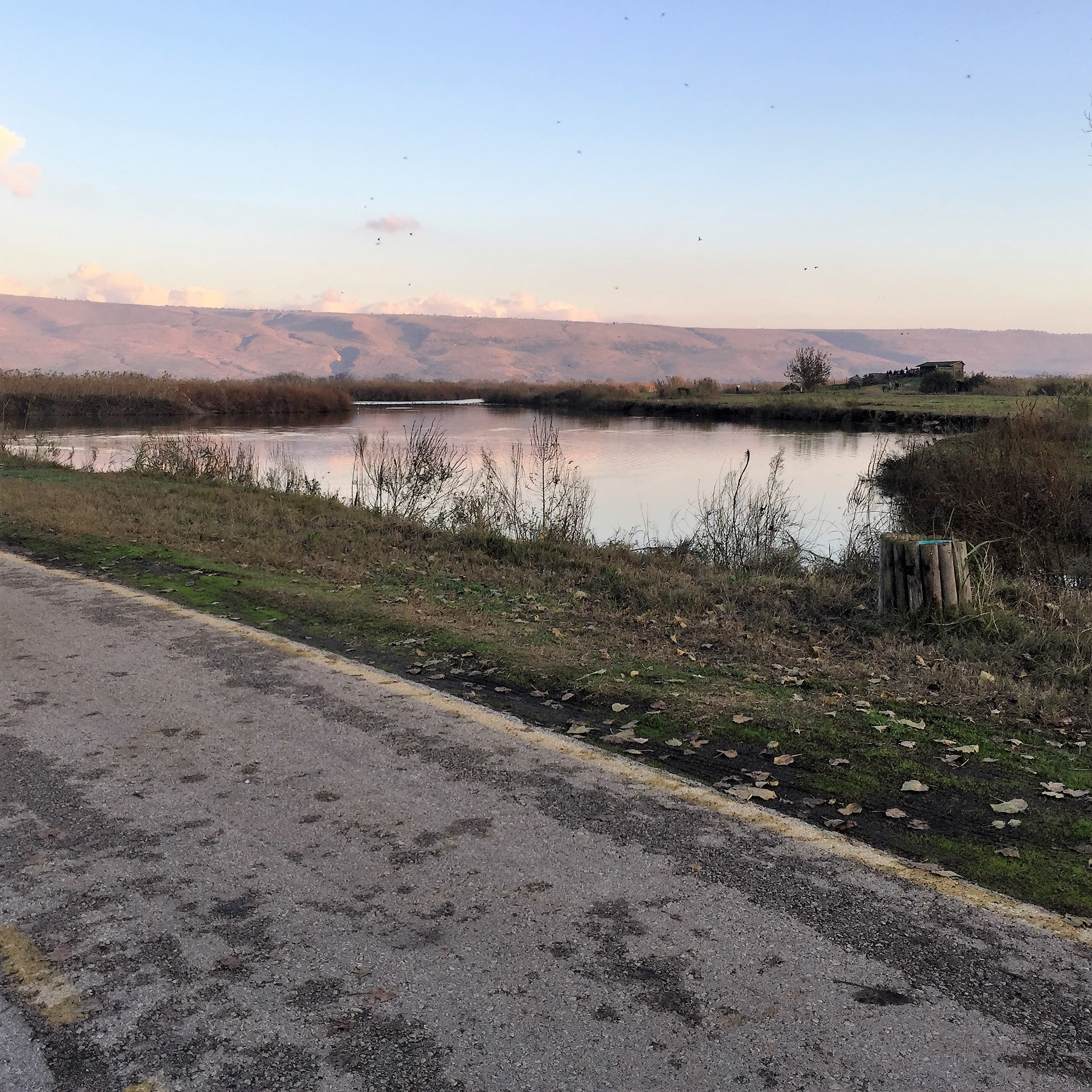 A Family of Peddlers by Mel Rosenberg - מל רוזנברג - Ourboox.com