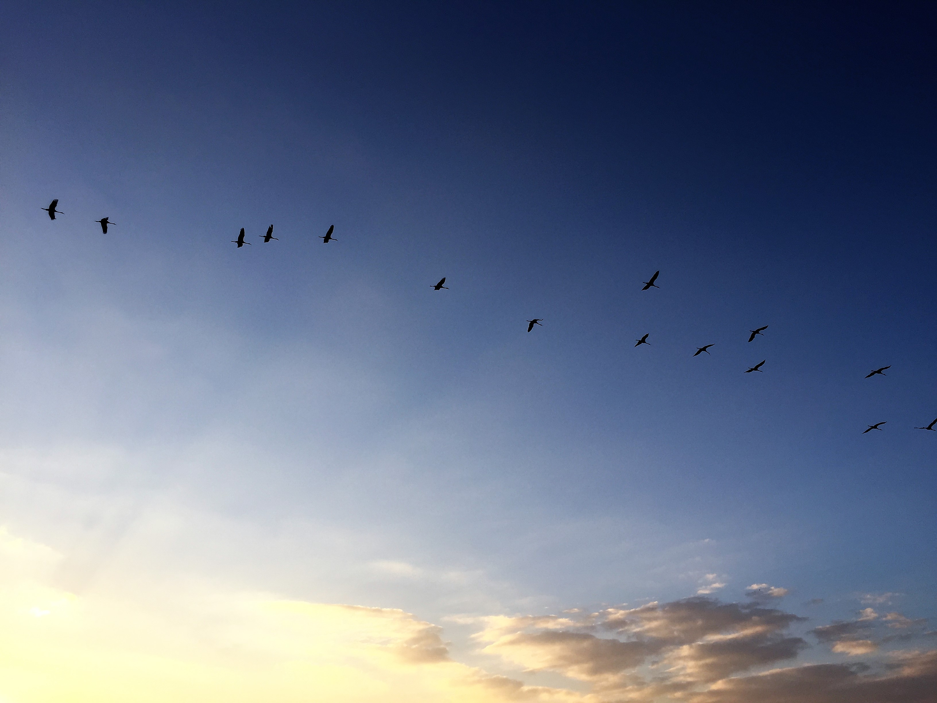A Family of Peddlers by Mel Rosenberg - מל רוזנברג - Ourboox.com
