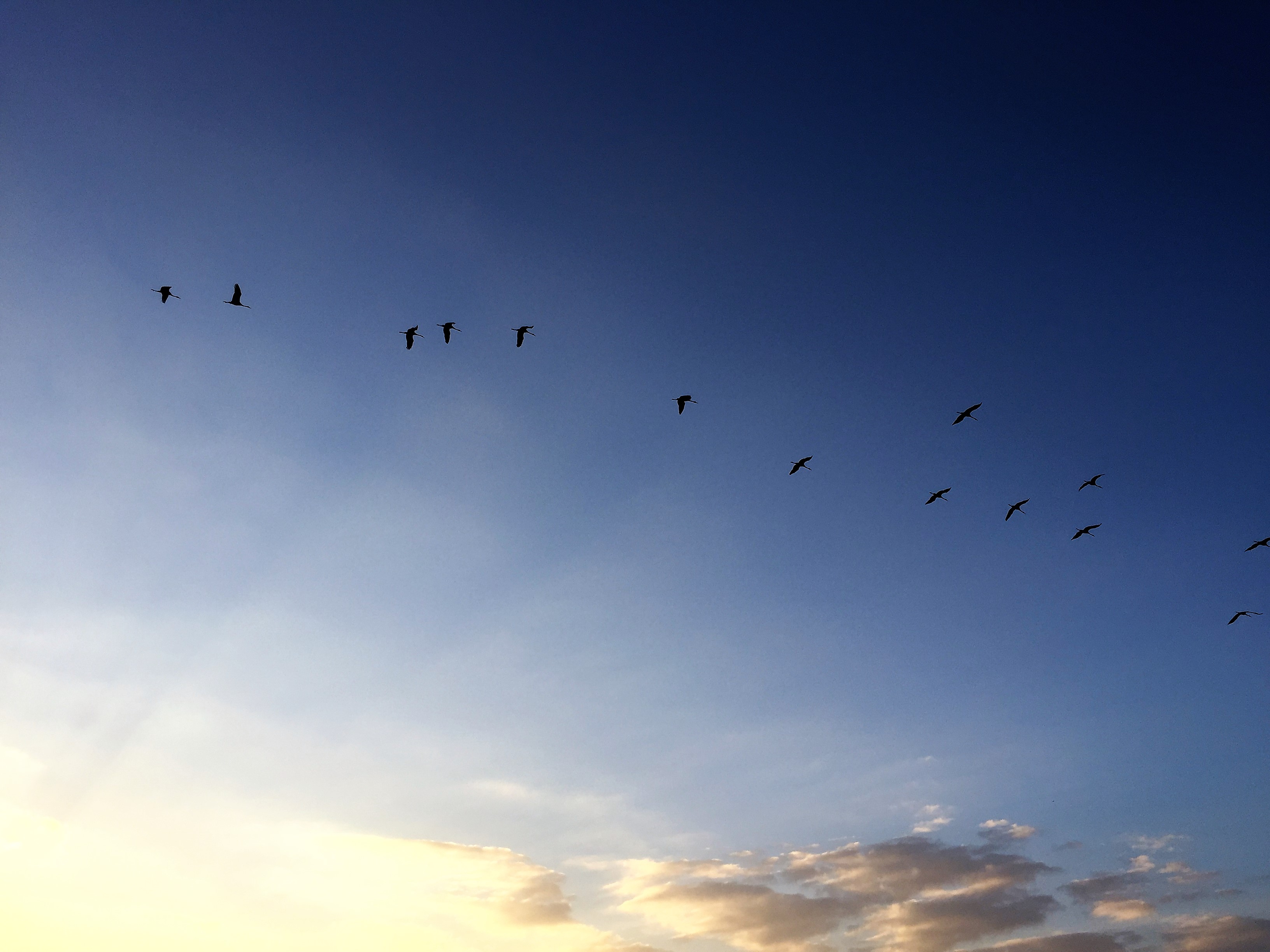 A Family of Peddlers by Mel Rosenberg - מל רוזנברג - Ourboox.com