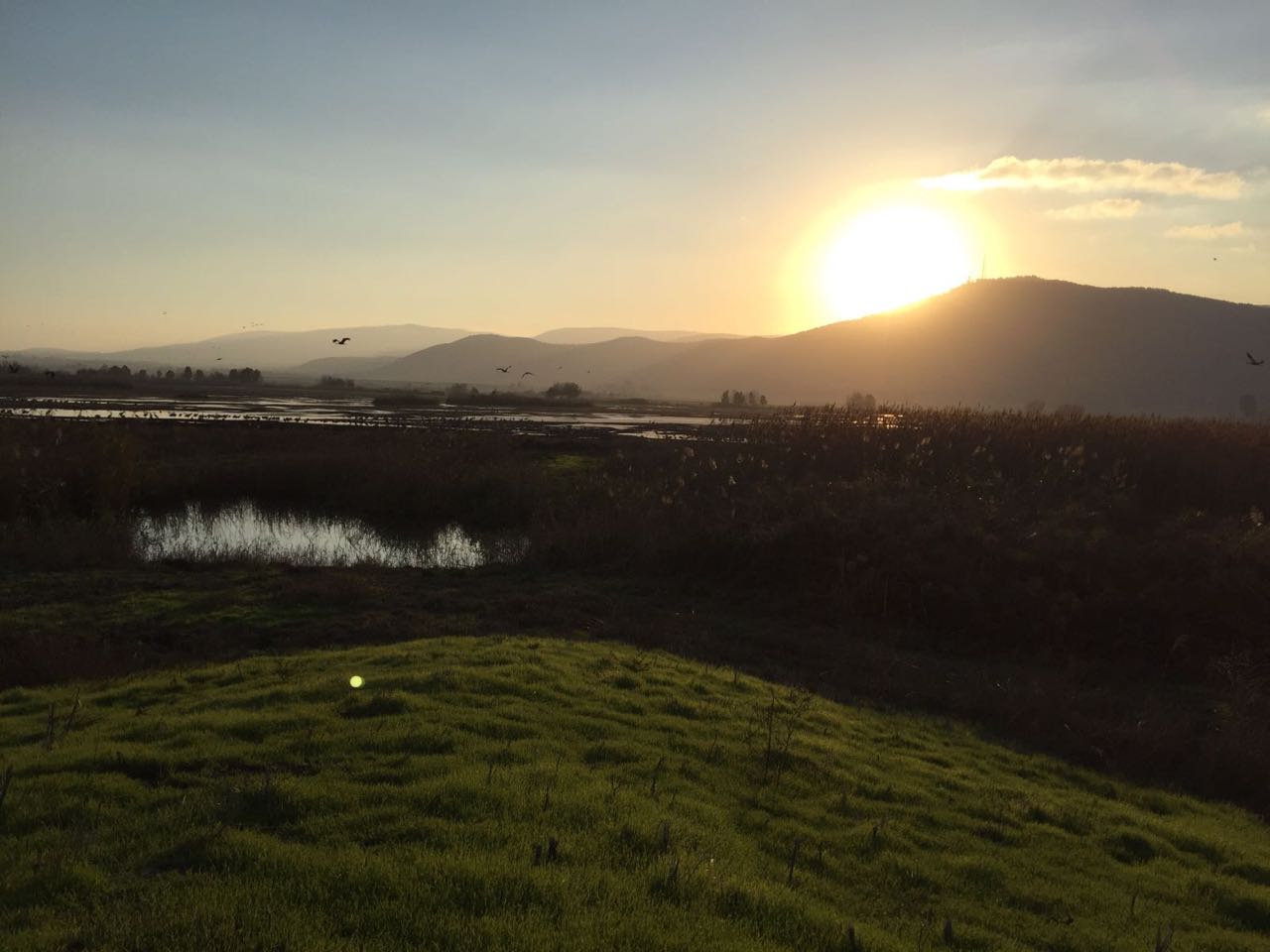 A Family of Peddlers by Mel Rosenberg - מל רוזנברג - Ourboox.com