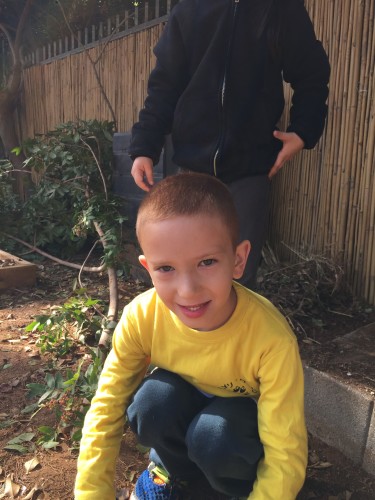 amit by merav tsadok shidlo - Illustrated by גלי - Ourboox.com