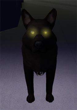 איש שרצה למצוא בית by Abraham Tgh - Ourboox.com