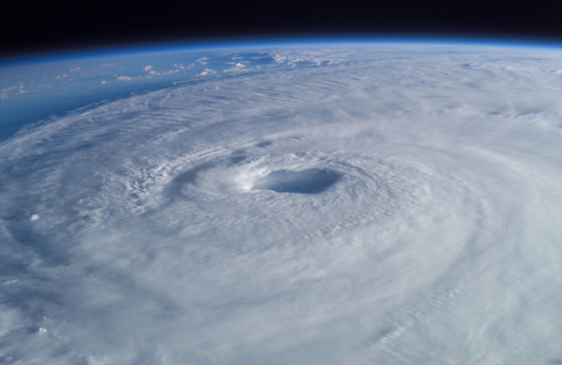 Great Galveston by Jacqueline - Illustrated by Jacqueline Tanquilut - Ourboox.com