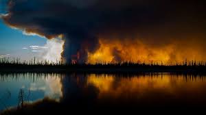 Peshtigo Wisconsin Forest Fire by : Jimena Ibarra by Jimena - Ourboox.com