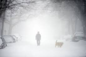 Blizzards by Brendan - Ourboox.com