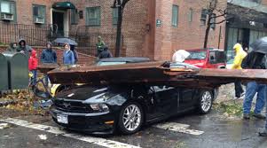 Hurricane Sandy by Miranda - Ourboox.com