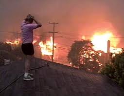 Peshtigo Wisconsin Forest Fire by : Jimena Ibarra by Jimena - Ourboox.com