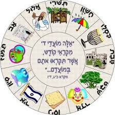 הטיסה המלמדת by netanel - Illustrated by נתנאל לוין - Ourboox.com