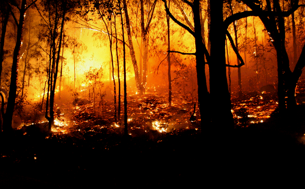 The Peshtigo Fire by Alexa Villasenor - Ourboox.com