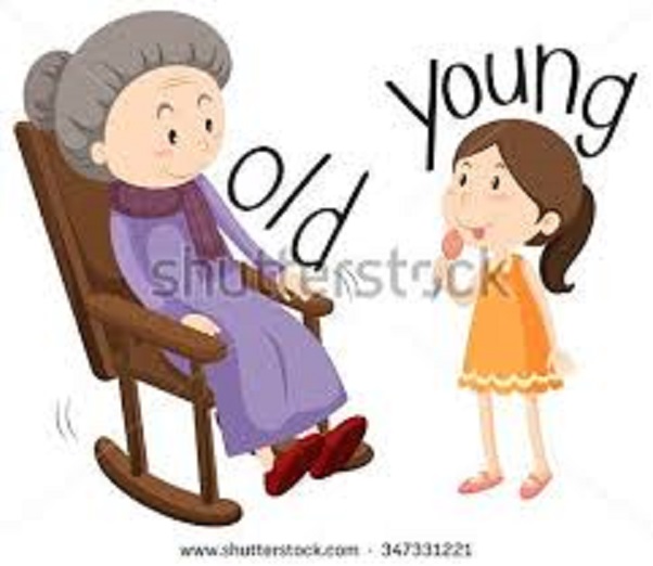 The book of Opposites by Varda Hamo - Ourboox.com