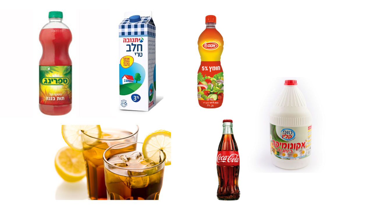 עבודת חקר ט’4 – שלי,מעין, שירה רימון ונועה אורזל by shelly kulagin - Illustrated by שלי קולאגין, שירה רימון, נועה אורזל ומעין שליט - Ourboox.com