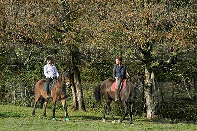 יומן מסע – משלחת לצרפת 2017 by theprojectnamot - Ourboox.com