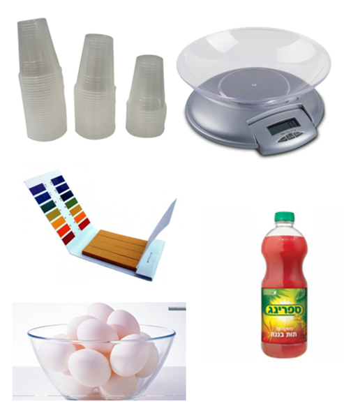 עבודת חקר ט’4 – שלי,מעין, שירה רימון ונועה אורזל by shelly kulagin - Illustrated by שלי קולאגין, שירה רימון, נועה אורזל ומעין שליט - Ourboox.com