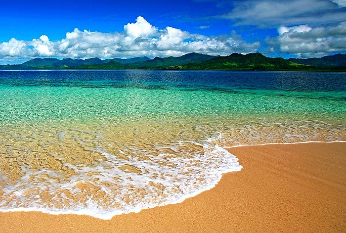 בעלי חיים במיים by avishag ziv - Ourboox.com