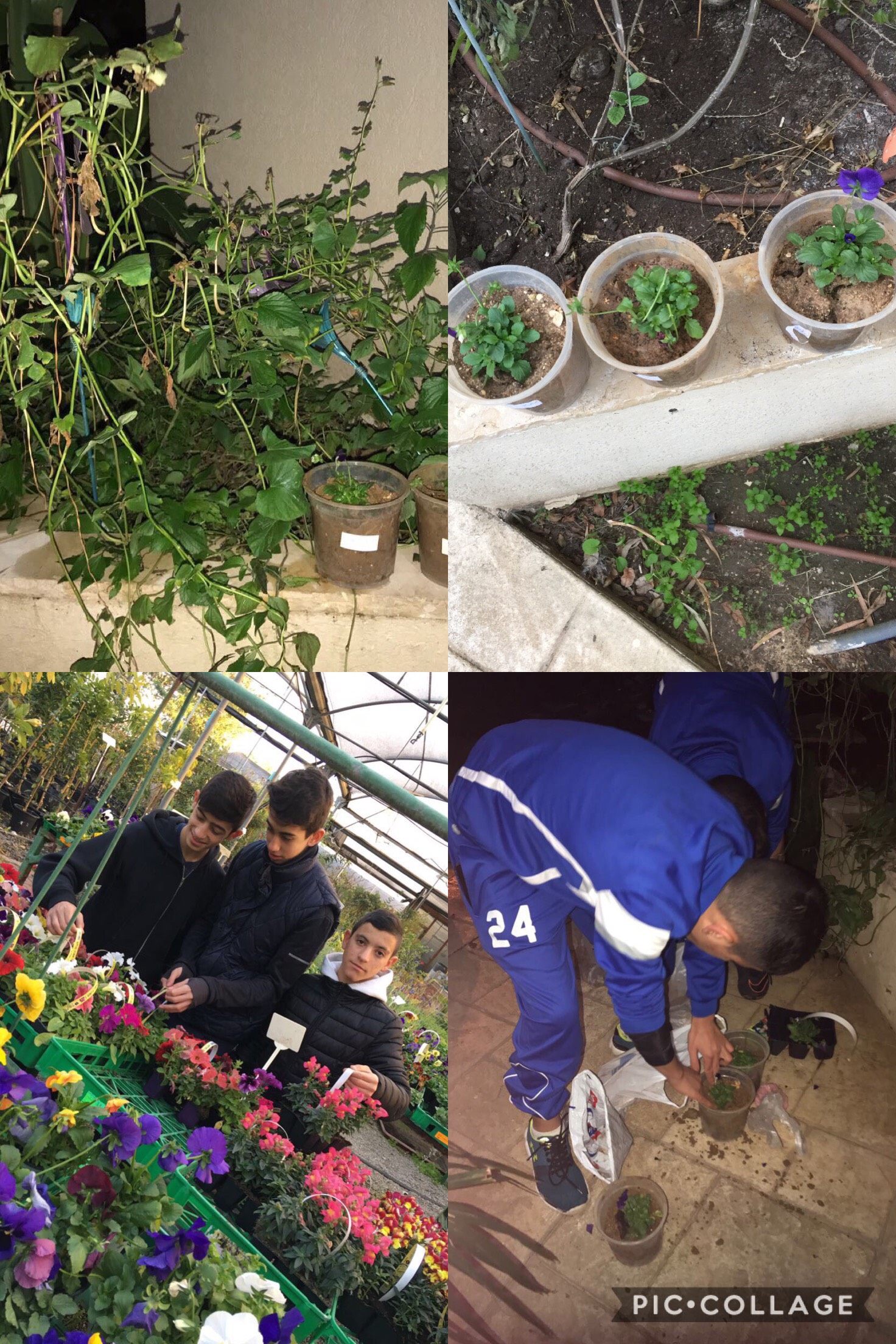 עבודת חקר במדעים by yuval lahat - Illustrated by מגישים: יובל להט, סער אשל, רן פלדמן, ניב בן-ישי        בית ספר: יהלום שוהם      מוגש למורה: אורי הירשמן-כהן - Ourboox.com