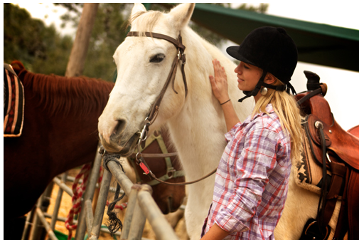 חוות סוסים by nimrod - Ourboox.com