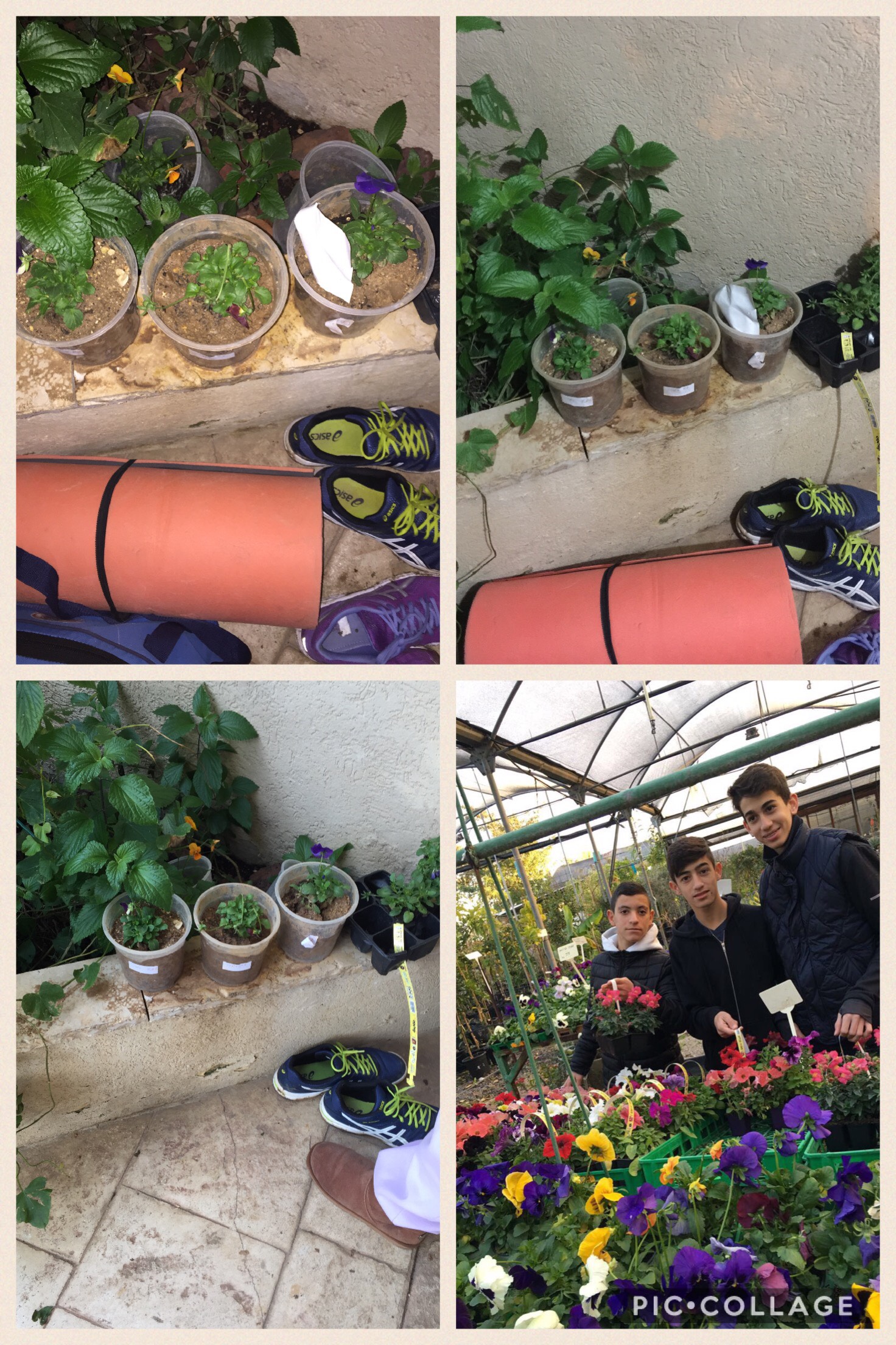 עבודת חקר במדעים by yuval lahat - Illustrated by מגישים: יובל להט, סער אשל, רן פלדמן, ניב בן-ישי        בית ספר: יהלום שוהם      מוגש למורה: אורי הירשמן-כהן - Ourboox.com