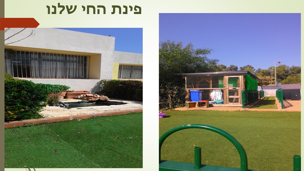 שותפים בירוק by helinhila - Illustrated by בית ספר נוף צורים - בית ספר מוביל פדגוגיה איכותית - Ourboox.com