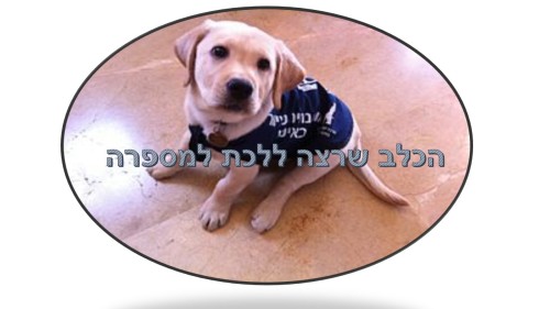 הכלב שרצה ללכת למספרה מאת טל ואופק ד2 by reut reshonlezion - Ourboox.com