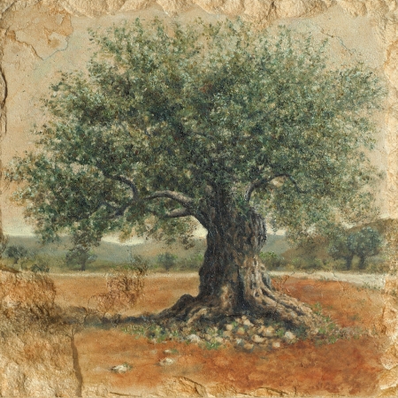 עֵץ הַזַּיִת / אֶלָה דוֹר-אוֹן by keren - Ourboox.com