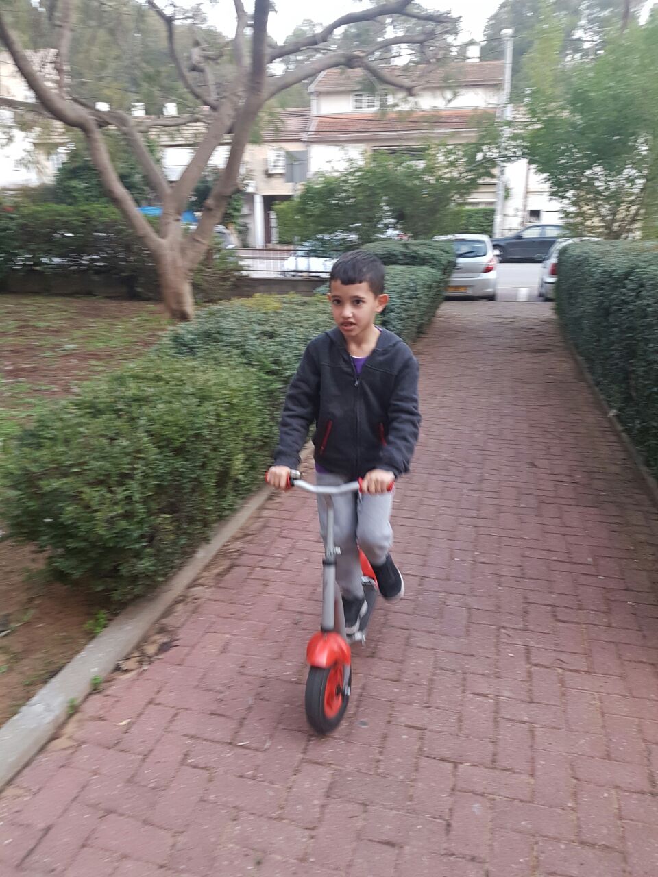 אנחנו שומרים על הסביבה by smadar najari - Illustrated by כיתה ב3 בית ספר רמת חן ברמת גן - שומרים על הסביבה - Ourboox.com