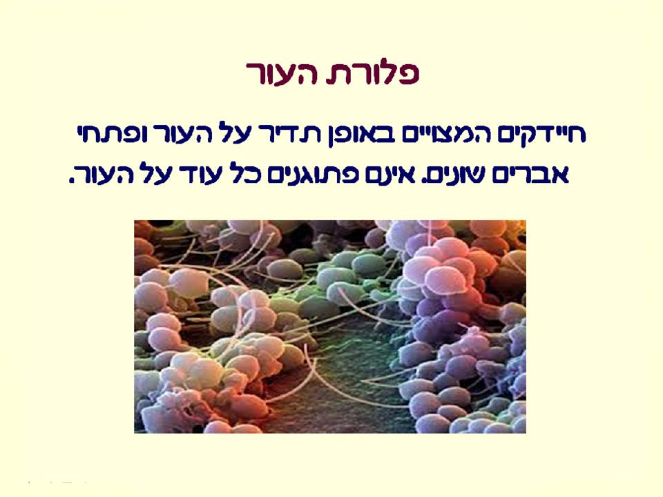 זיהומים נרכשים ודרכי מניעתם by murad jumhor - Illustrated by murad jumhor - Ourboox.com