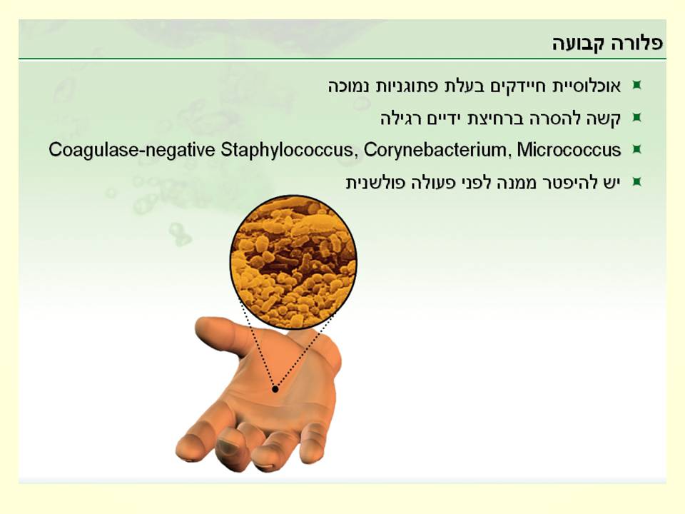 זיהומים נרכשים ודרכי מניעתם by murad jumhor - Illustrated by murad jumhor - Ourboox.com