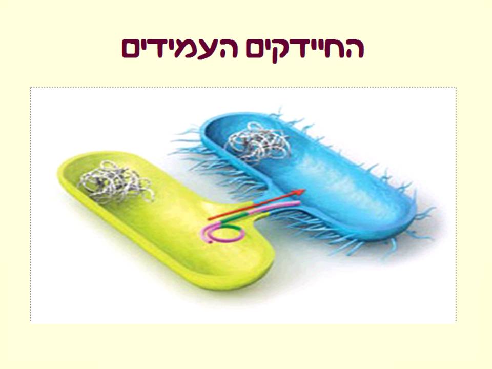 זיהומים נרכשים ודרכי מניעתם by murad jumhor - Illustrated by murad jumhor - Ourboox.com
