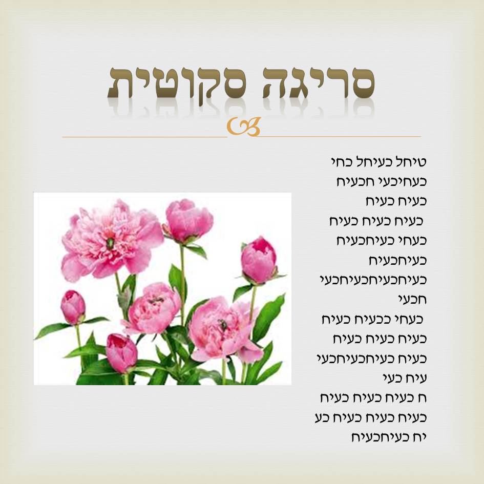 סריגה-2 by Lehava Or Yehuda - Ourboox.com